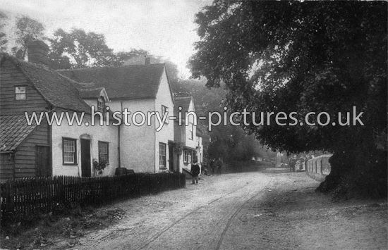 The Village, Willingale, Essex. c.1905